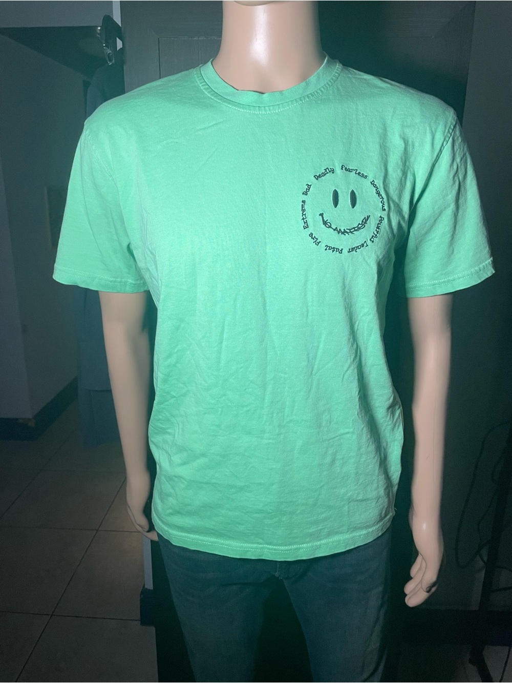 Men's Mint Green Short Sleeve Graphic Crew Tee